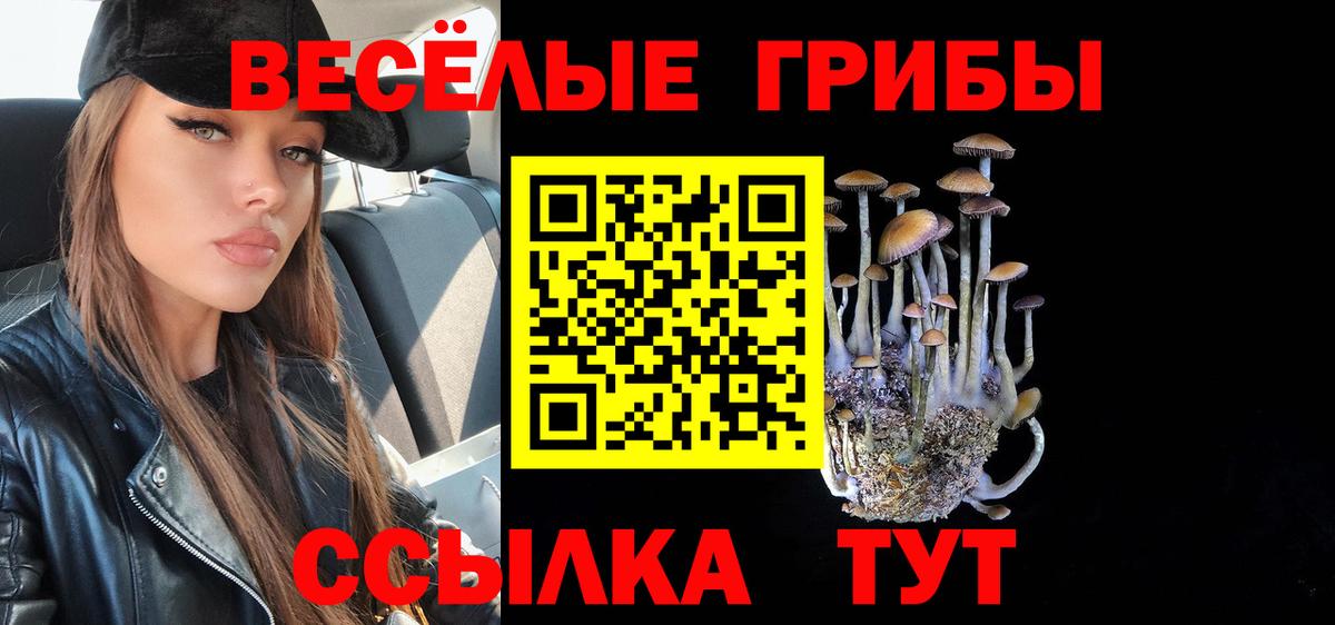 Псилоцибиновые грибы GOLDEN TEACHER Саянск