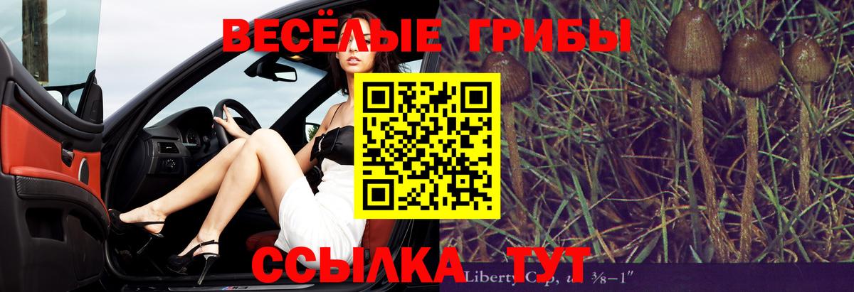 Псилоцибиновые грибы Cubensis  Вход с VPN  Саянск 